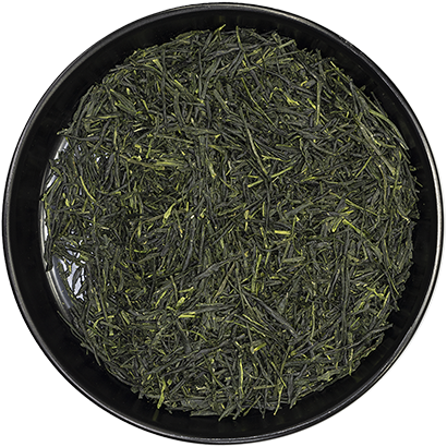 Sencha